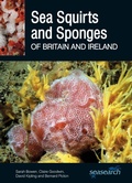 Cover: Sea Squirts and Sponges of Britain and Ireland - Wild Nature Press