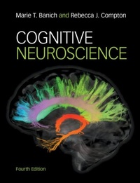 Abbildung von: Cognitive Neuroscience - Cambridge University Press