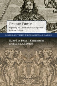 Enlarge image Cover: Protean Power - Cambridge University Press