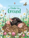 Cover: Underpants for Ants - Usborne Publishing Ltd