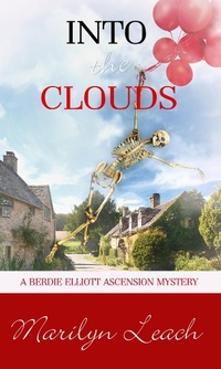 Enlarge image Cover: Into the Clouds - Pelican Book Group