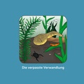 Cover: Die verpasste Verwandlung - Museum d. Westlausitz Kamenz
