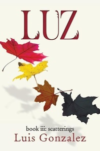 Enlarge image Cover: Luz - Burnt Copper Press