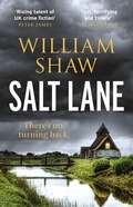 Cover: Salt Lane - riverrun