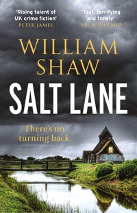 Enlarge image Cover: Salt Lane - riverrun