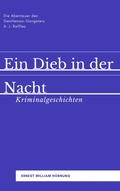 Cover: Ein Dieb in der Nacht - Null Papier Verlag