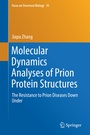 Cover: Molecular Dynamics Analyses of Prion Protein Structures - Springer