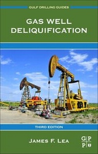 Abbildung von: Gas Well Deliquification - Gulf Professional Publishing