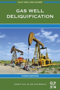 Enlarge image Cover: Gas Well Deliquification - Gulf Professional Publishing