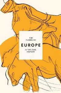 Enlarge image Cover: Europe - Allen Lane