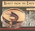 Cover: Beauty From the Earth - Pueblo Indian Pottery from the University Museum of Archaeology and Anthropology - University of Pennsylvania Museum of Archaeology & Anthropology