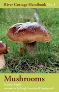 Cover: Mushrooms - Bloomsbury Publishing PLC