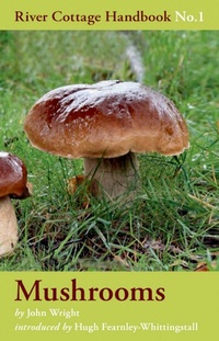 Abbildung von: Mushrooms - Bloomsbury Publishing PLC