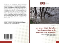 Abbildung von: Les crues éclair dans les bassins montagnards marocain non aménagé - Éditions universitaires européennes