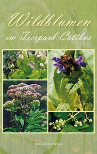 Abbildung von: Wildblumen im Tierpark Cottbus - Regia-Co-Work