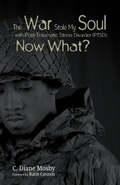 Cover: The War Stole My Soul with Post-Traumatic Stress Disorder (Ptsd): What Now? - Wipf & Stock Publishers