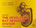 Bild: Atlas of the Developing Rat Nervous System - Academic Press