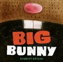 Cover: Big Bunny - Chronicle Books LLC