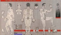 Enlarge image Cover: Points and Meridians of Acupuncture Chart - Churchill Livingstone