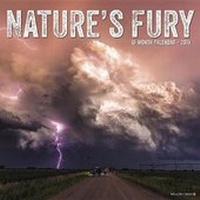 Abbildung von: Nature's Fury 2019 Wall Calendar - Willow Creek Press