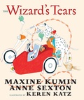 Cover: The Wizard's Tears - Seven Stories Press,U.S.