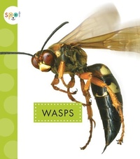 Enlarge image Cover: Wasps - Spot