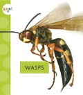Cover: Wasps - Amicus Ink