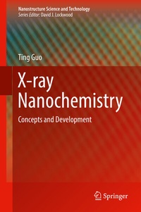 Abbildung von: X-ray Nanochemistry - Springer