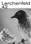 Cover: Lerchen_feld 42 - material-Vlg