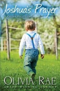 Enlarge image Cover: Joshua's Prayer - Hopeknight Press