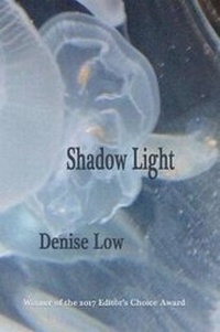 Enlarge image Cover: Shadow Light - Red Mountain Press