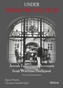Cover: Under Swiss Protection - ibidem
