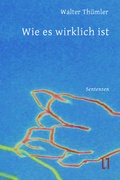 Cover: Wie es wirklich ist - sisifo // Leipziger Literaturverlag