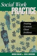 Cover: Social Work Practice - Lyceum Books Inc.,U.S.