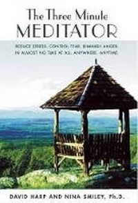 Enlarge image Cover: The Three Minute Meditator - Mind's I Press