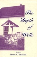 Cover: The Depth of Wells - Peter E. Randall
