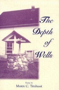 Enlarge image Cover: The Depth of Wells - Peter E. Randall