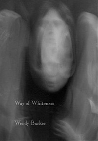 Enlarge image Cover: Way of Whiteness - Wings Press