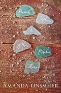 Cover: Beach Glass & Other Broken Things - Amanda Linsmeier