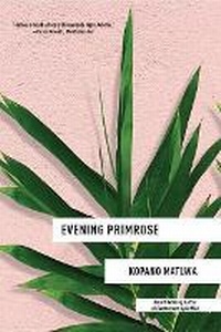 Enlarge image Cover: Evening Primrose - Quercus Books