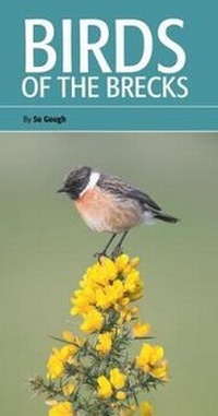 Enlarge image Cover: Birds of the Brecks - British Trust for Ornithology