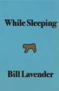 Cover: While Sleeping - Chax Press