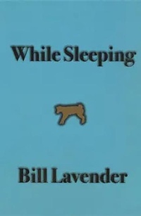 Enlarge image Cover: While Sleeping - Chax Press
