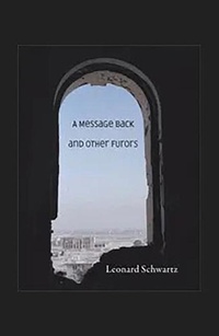 Enlarge image Cover: A Message Back and Other Furors - Chax Press