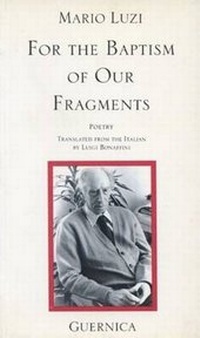 Enlarge image Cover: For the Baptism of Our Fragments - Guernica Editions,Canada