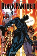 Cover: Black Panther 2 -Sturm &uuml;ber Wakanda - Marvel bei Panini Comics