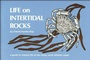 Cover: Life on Intertidal Rocks - Wilderness Press