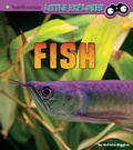 Cover: Fish: A 4D Book - Capstone Press