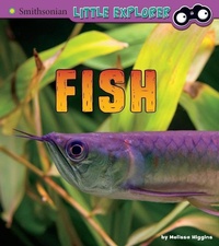 Enlarge image Cover: Fish: A 4D Book - Capstone Press