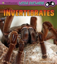 Enlarge image Cover: Invertebrates: A 4D Book - Capstone Press